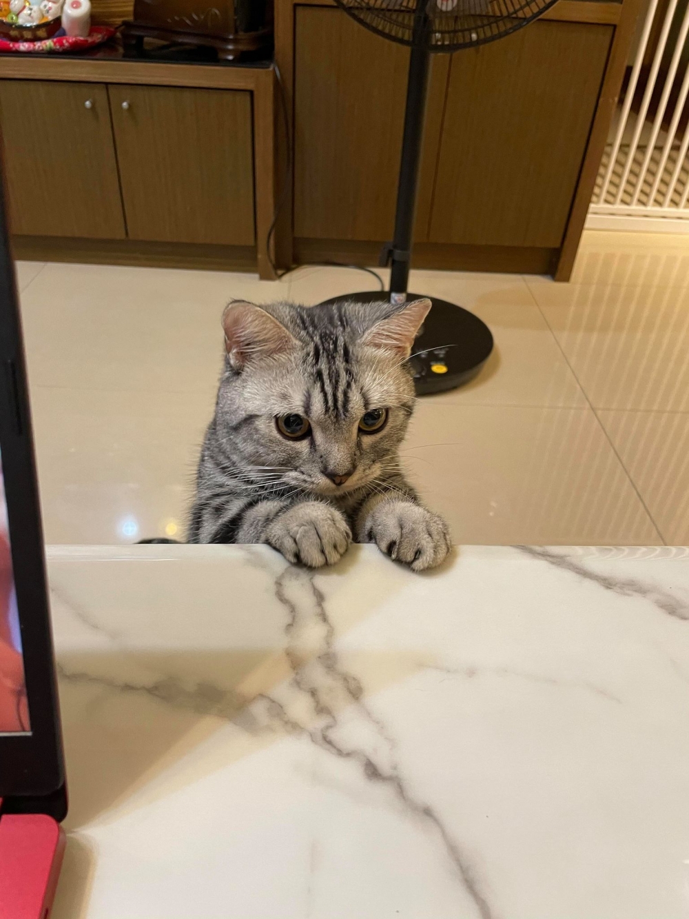 網友許瑜芯小姐提供 