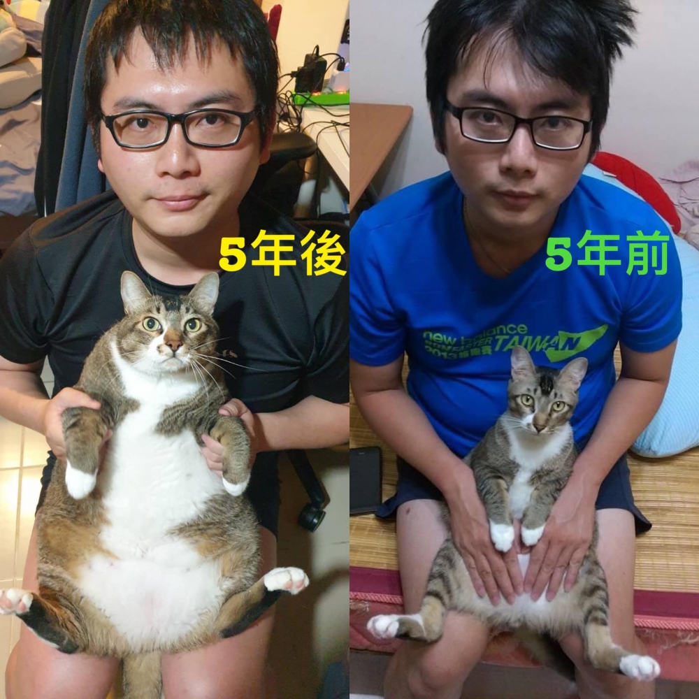 網友王鈴惠小姐提供