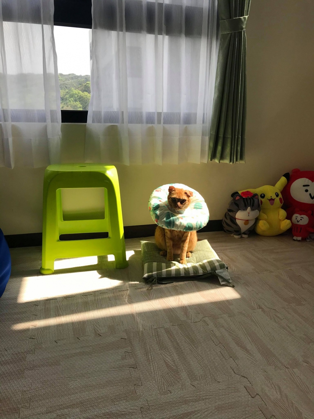 網友潘小姐提供