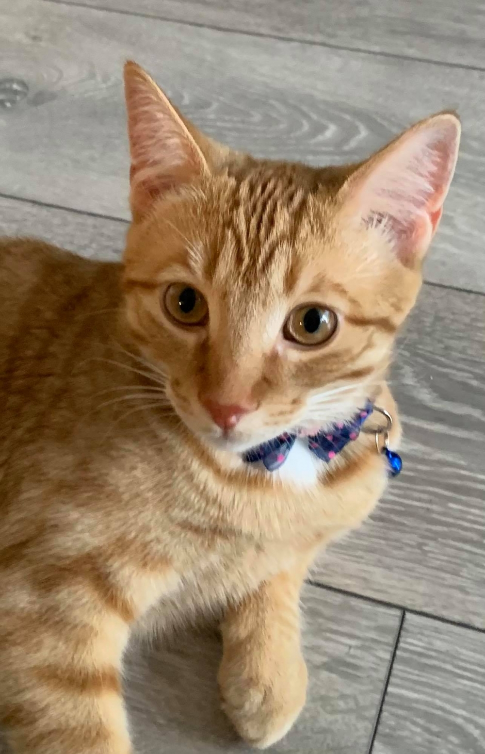 網友Kate Wan-jing Lee提供