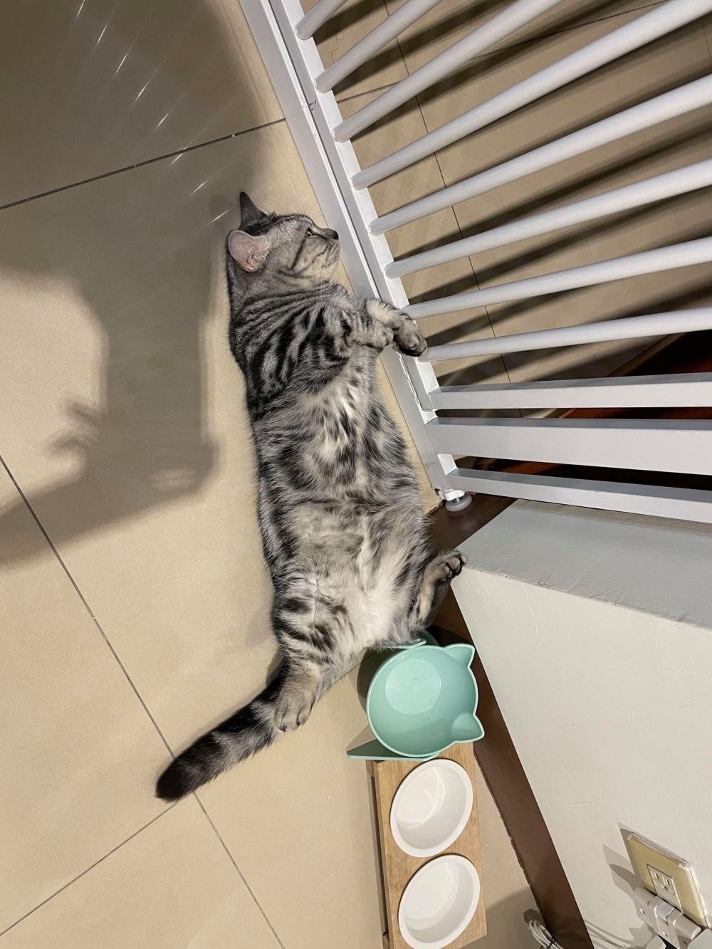 網友許瑜芯小姐提供