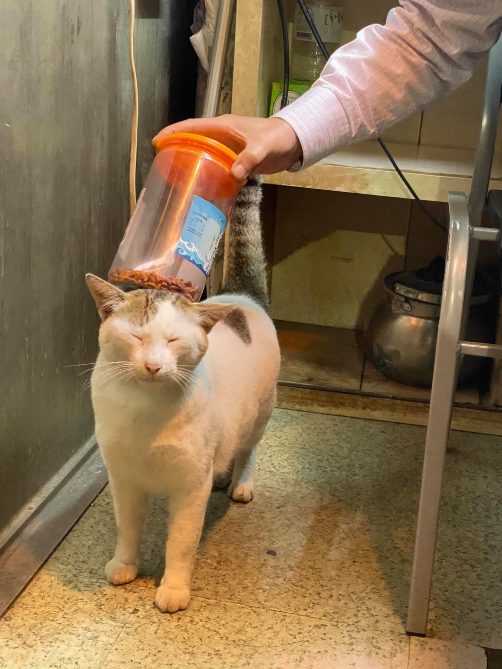 網友pan pan授權提供