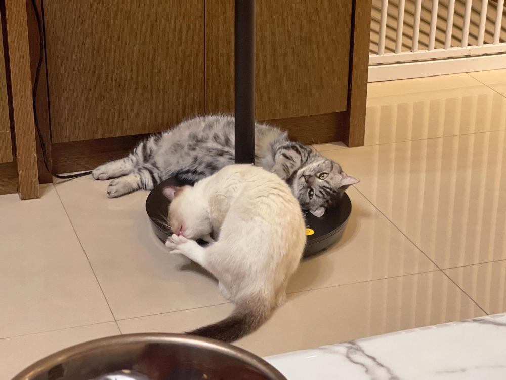 網友許瑜芯小姐提供 