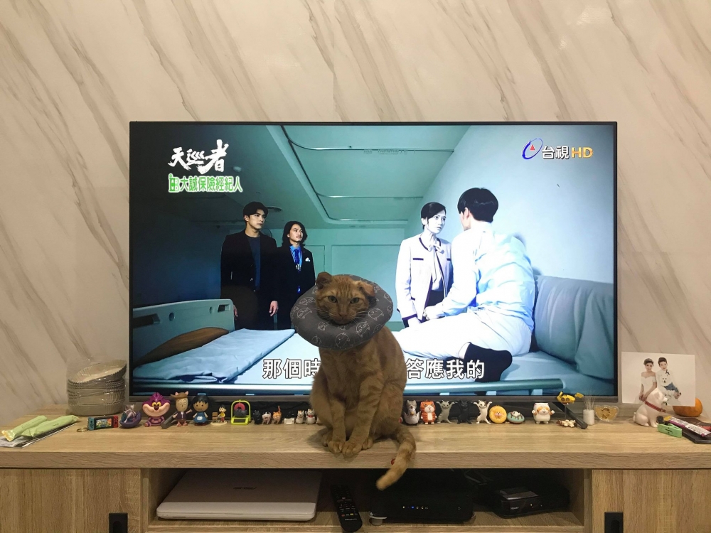 網友潘小姐提供