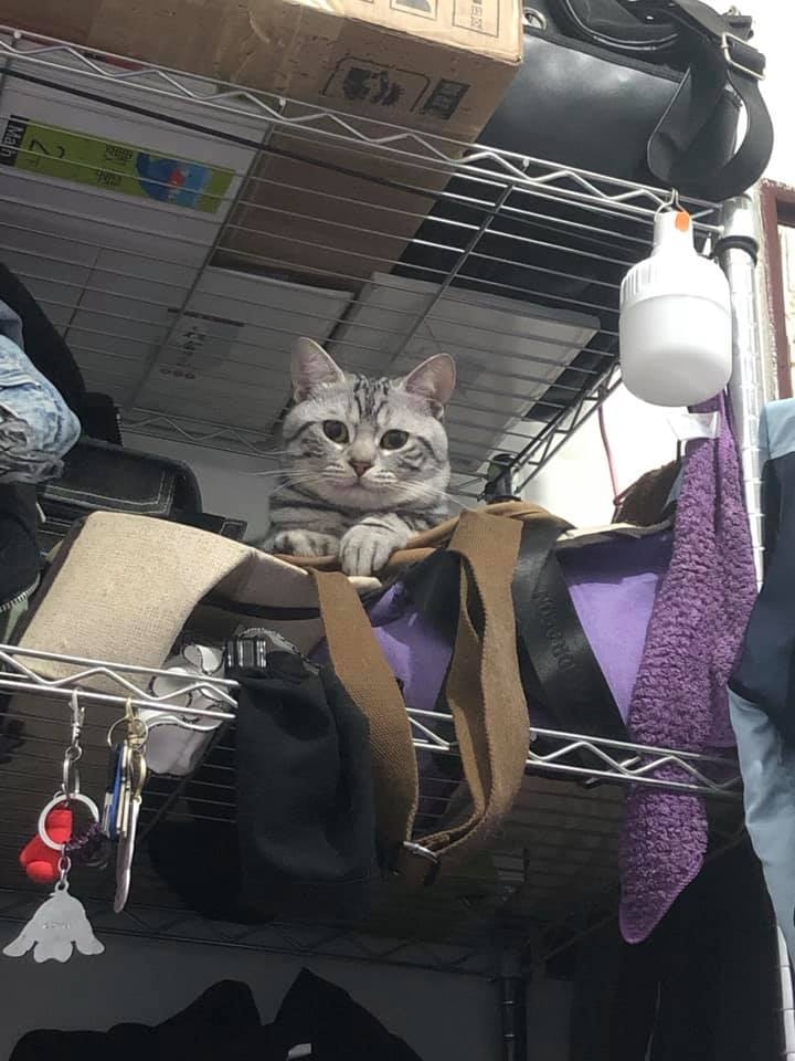 網友王耀偉先生提供