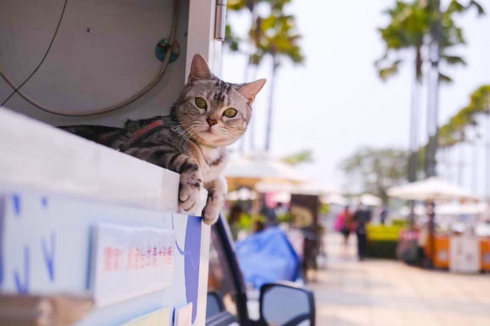 FB 啤先生美式餐車-義大利麵