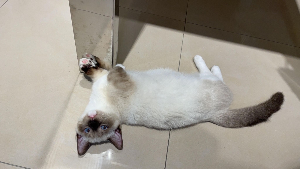 網友許瑜芯小姐提供 