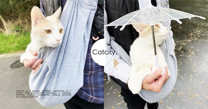 雨天散步！日本推主「自備小雨傘」幫貓遮雨，網讚：真的超寵愛