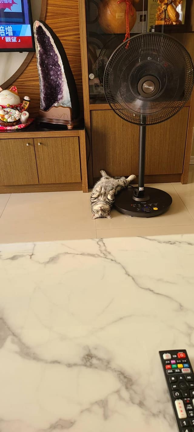 網友許瑜芯小姐提供