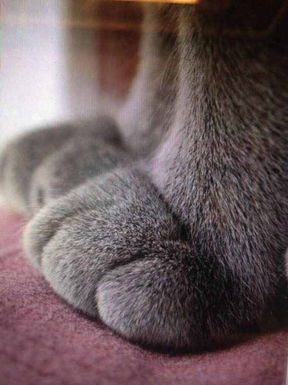 Pinterest