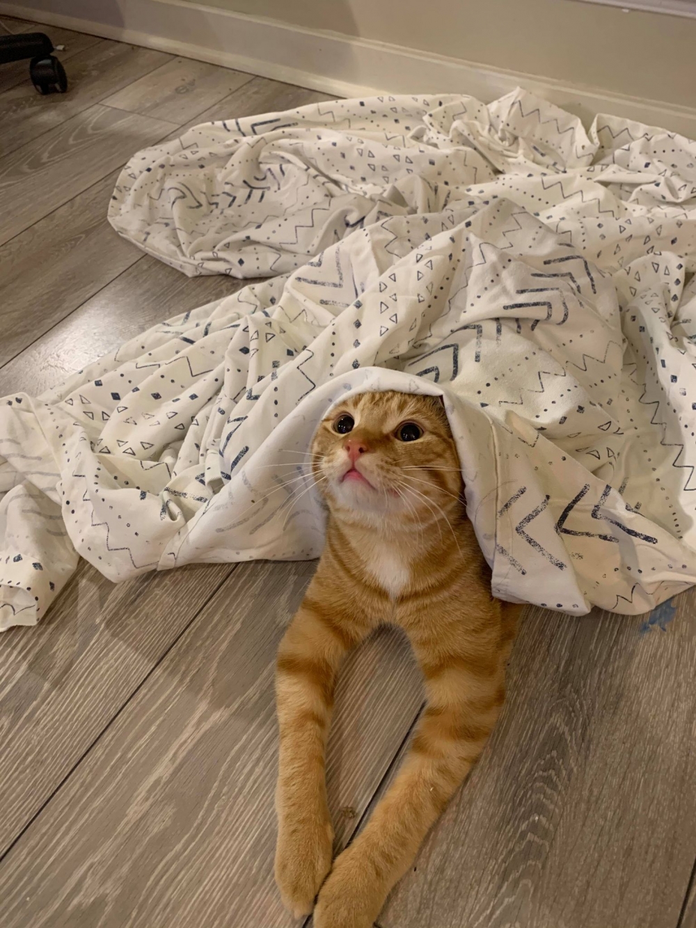 網友Kate Wan-jing Lee提供