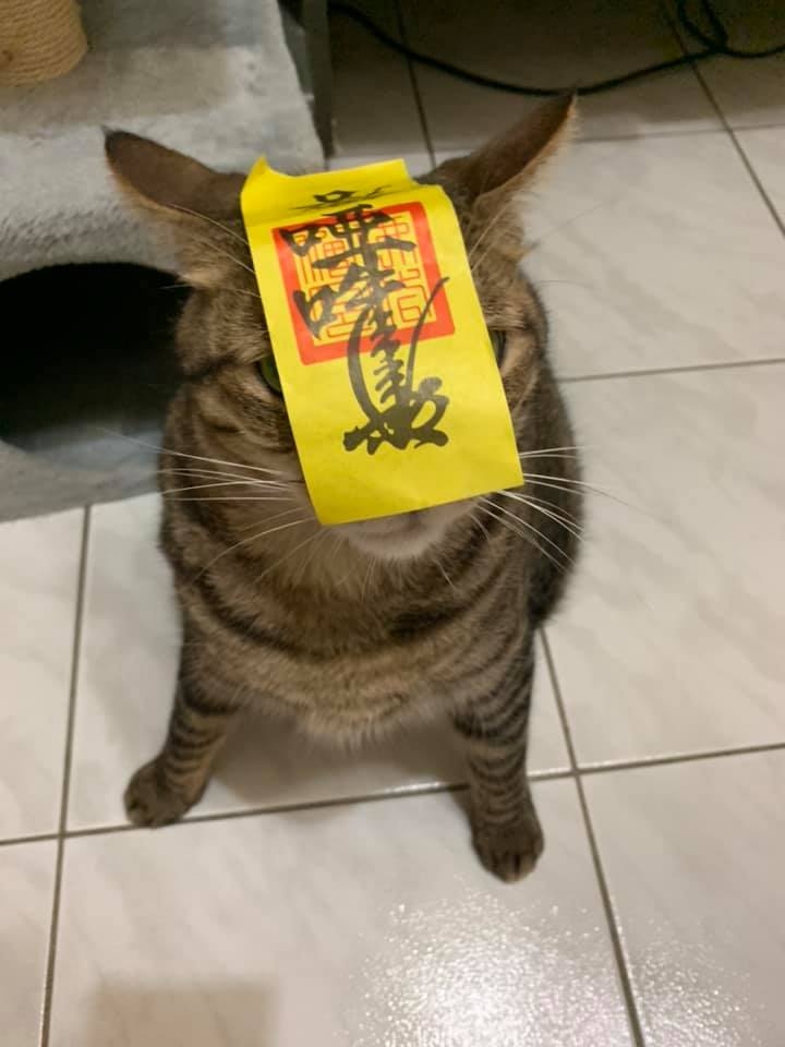 網友Meng Yun Tsang提供