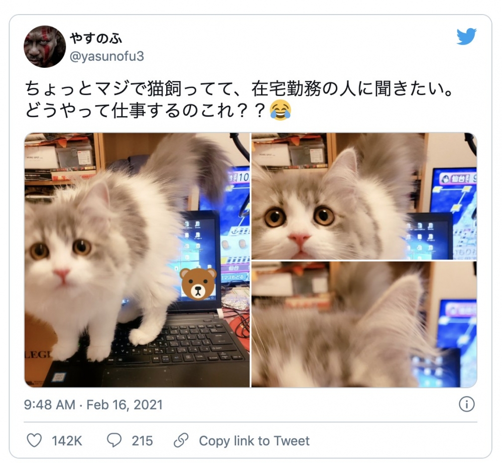 twitter @yasunofu3