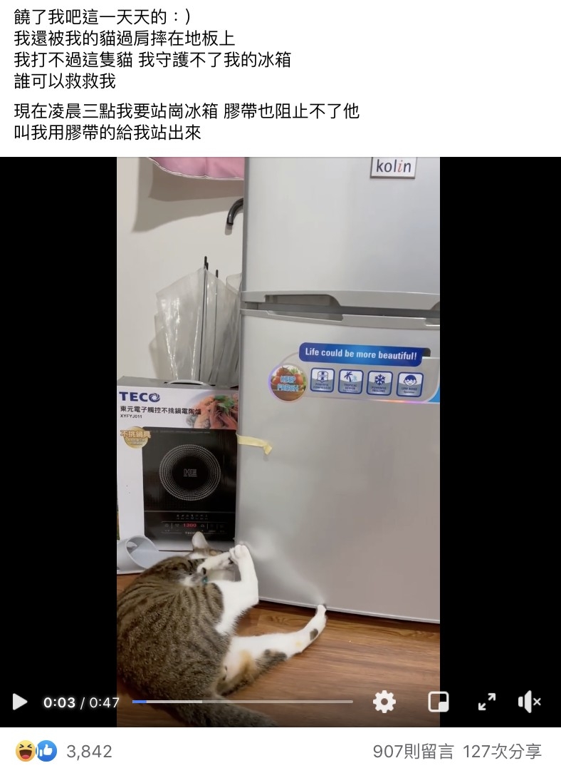 網友HaNa Ko提供