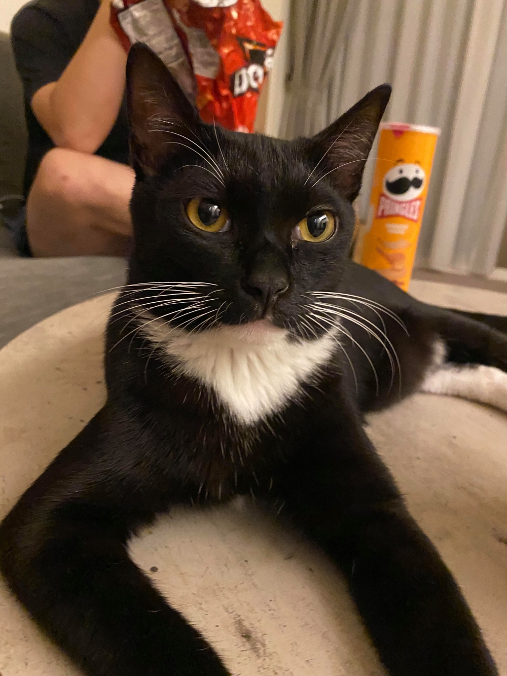 網友Ani Tsai小姐提供