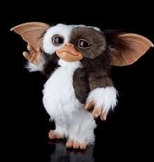 189399994_10165264790170451_5651811281669869927_n