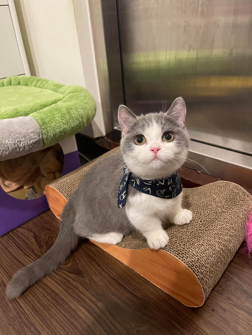 網友王震宇先生提供