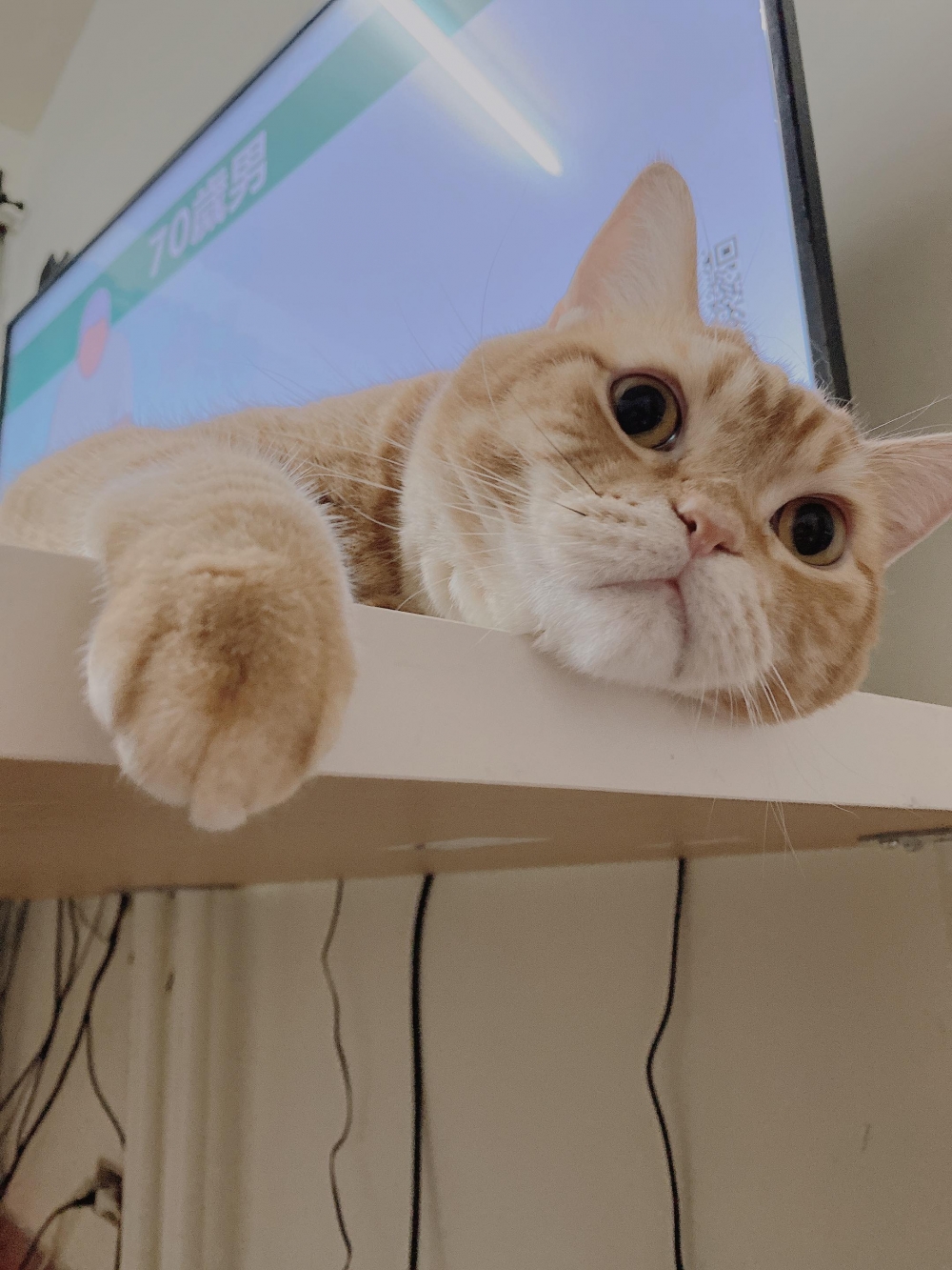 網友Ya Mi小姐提供