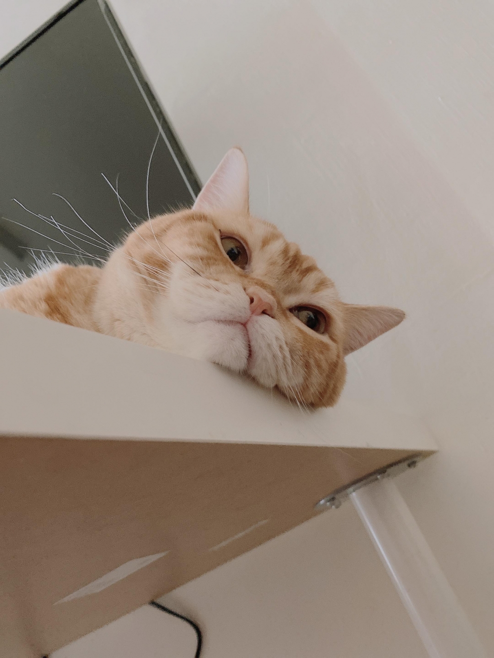 網友Ya Mi小姐提供