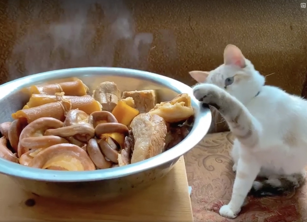 網友李曉芳小姐提供