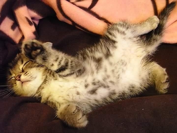 網友李小克小姐提供