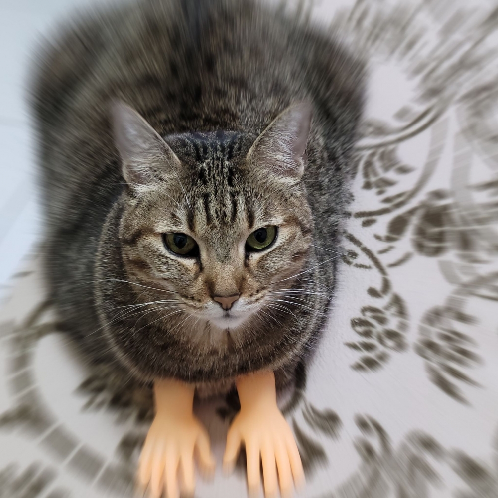 網友王筱梅小姐提供