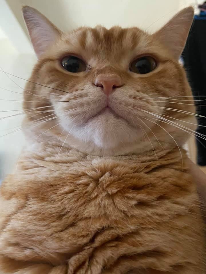 網友Ya Mi小姐提供