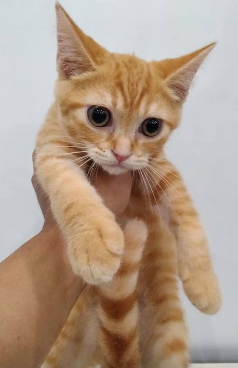 網友Ya Mi小姐提供