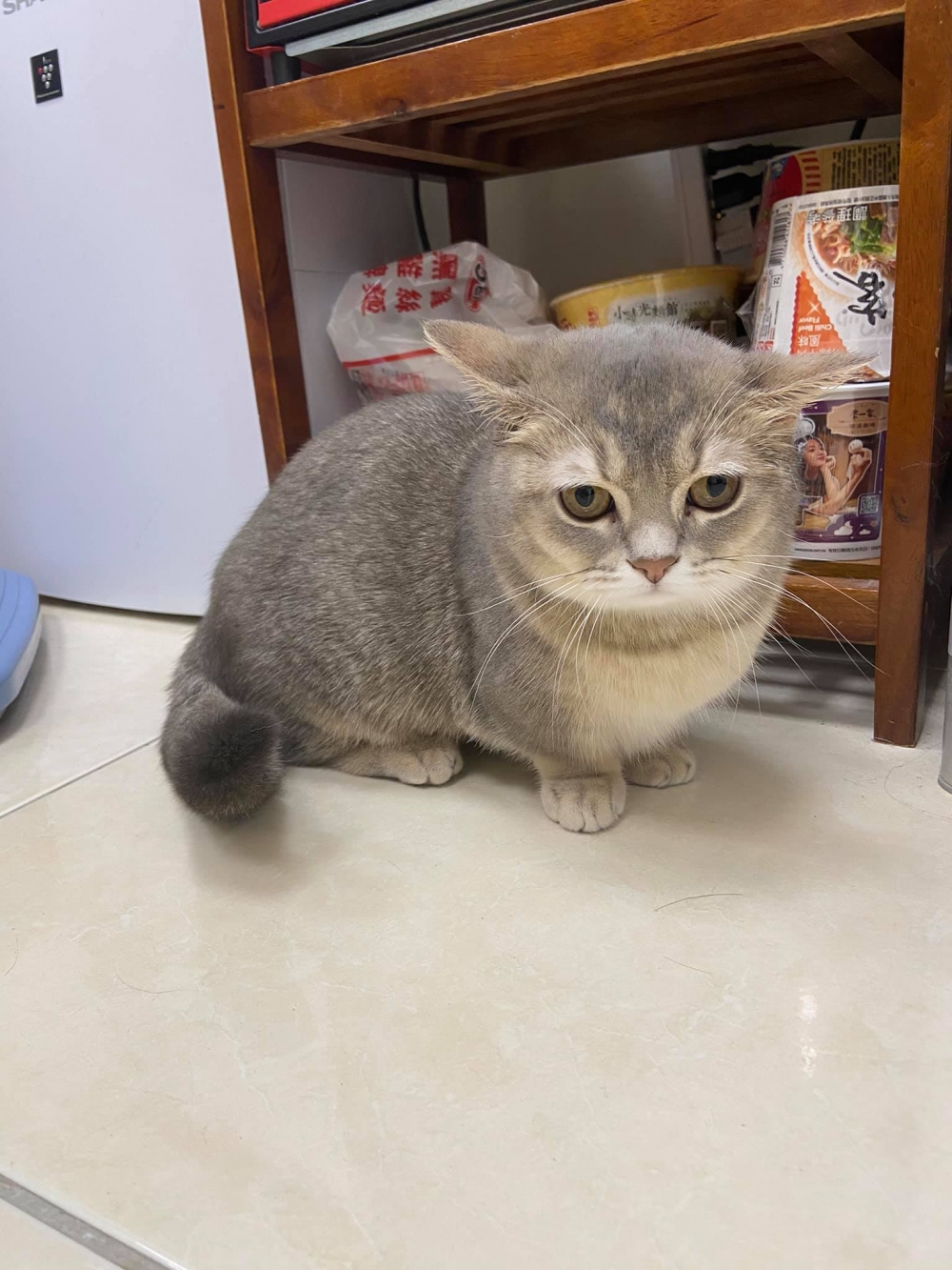 網友邱湘甯小姐提供