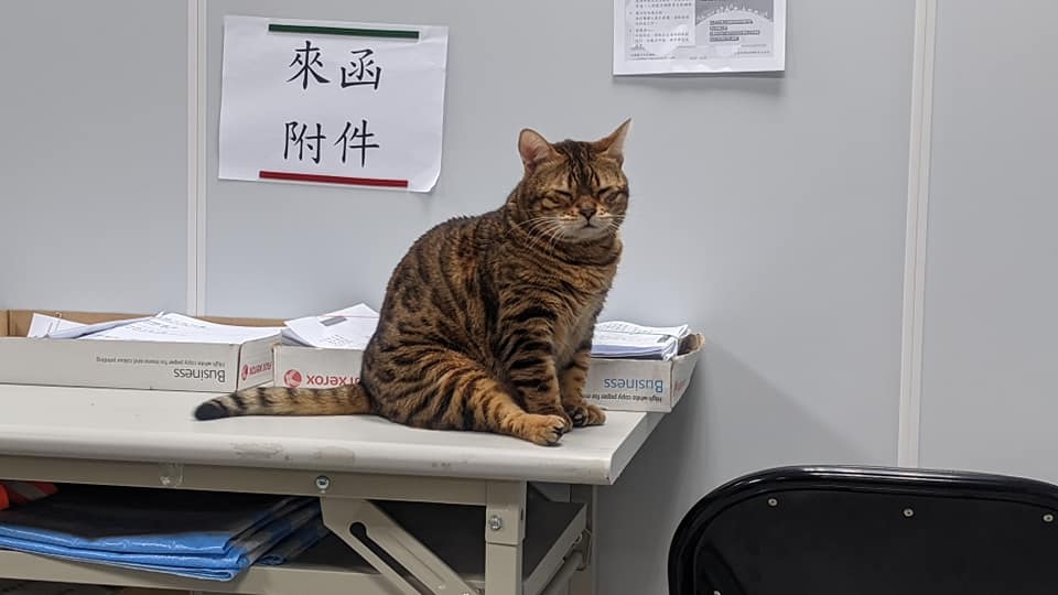 網友薛豹樂先生提供