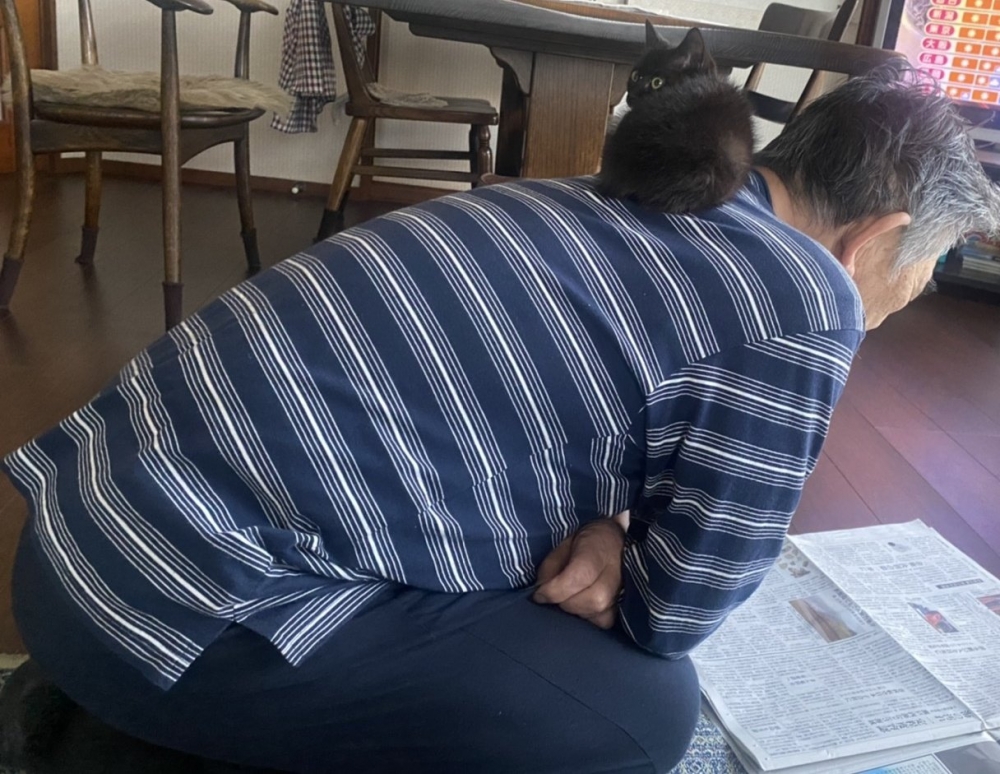 twitter @turi2018