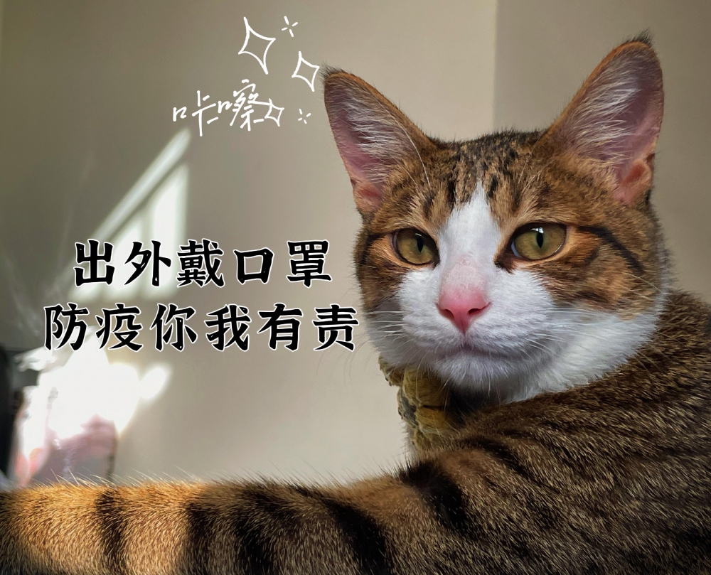 網友HaNa Ko提供