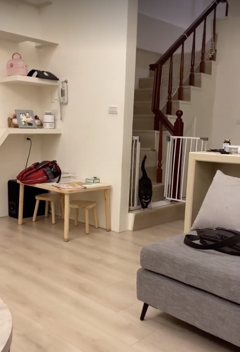 網友Ani Tsai小姐提供