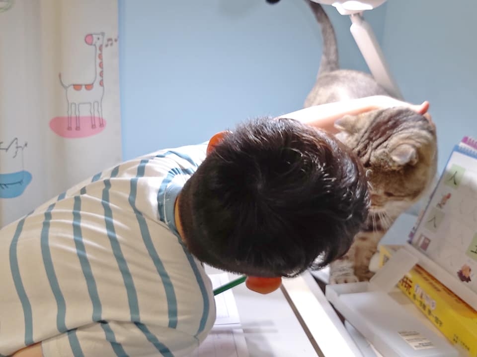 網友李小克小姐提供