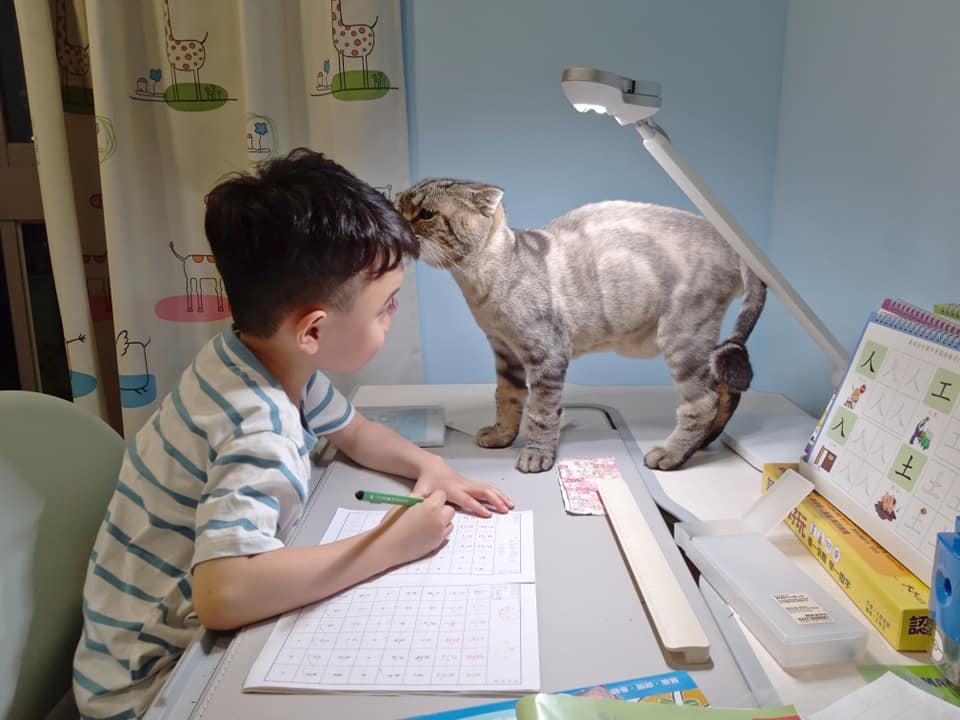 網友李小克小姐提供