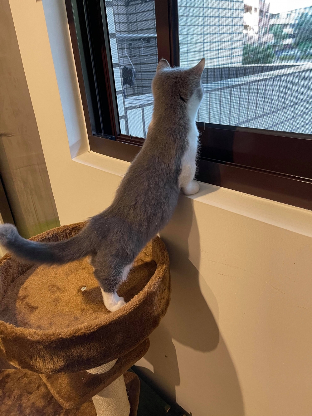 網友王震宇先生提供