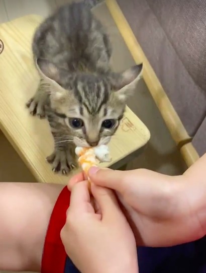 網友Inin Huang提供