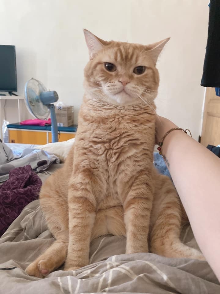 網友Ya Mi小姐提供