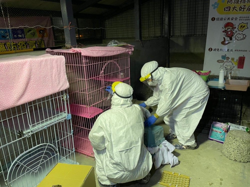 臺北市動物保護處