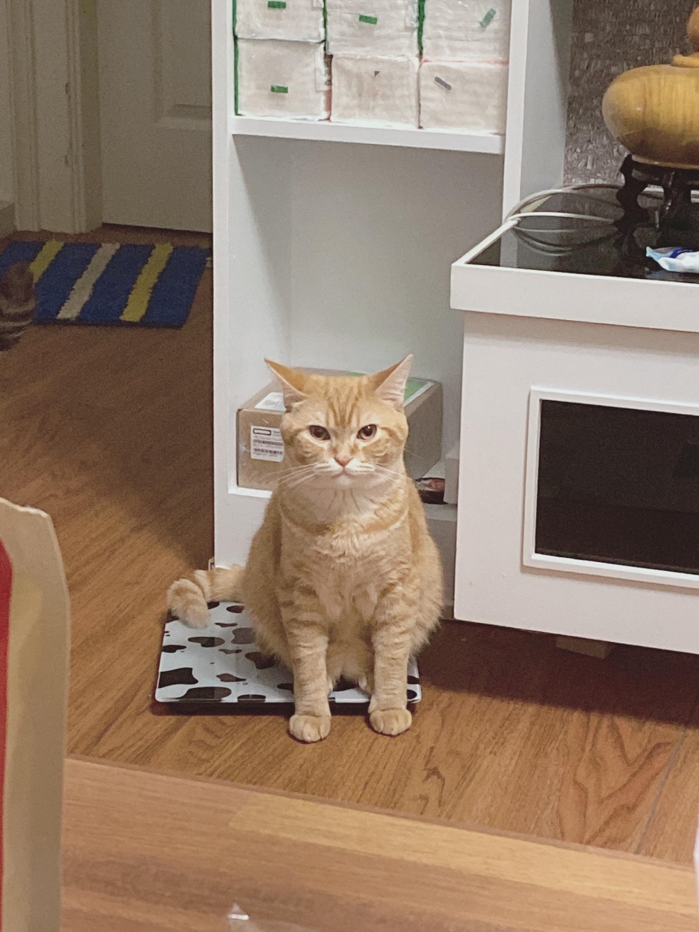 網友Ya Mi小姐提供