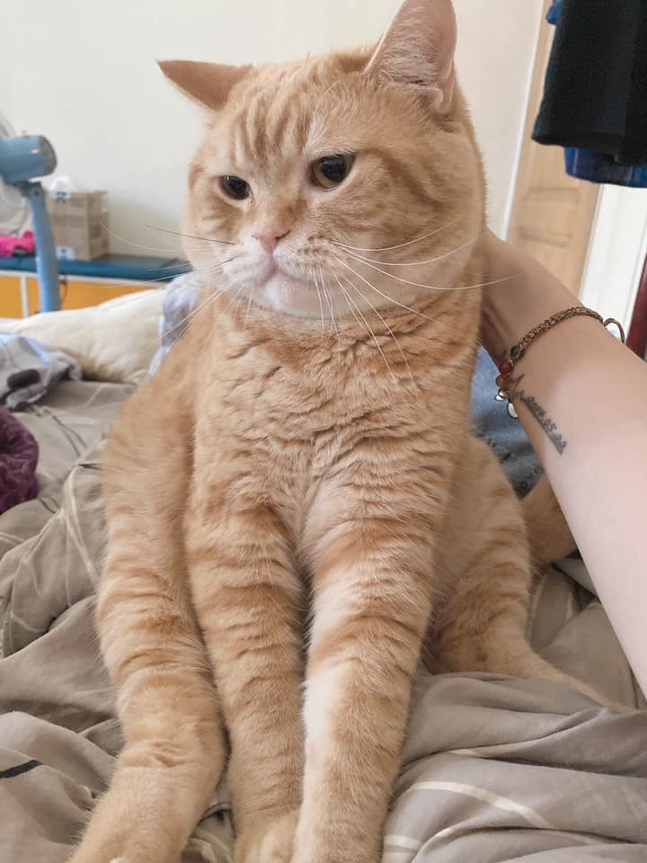 網友Ya Mi小姐提供