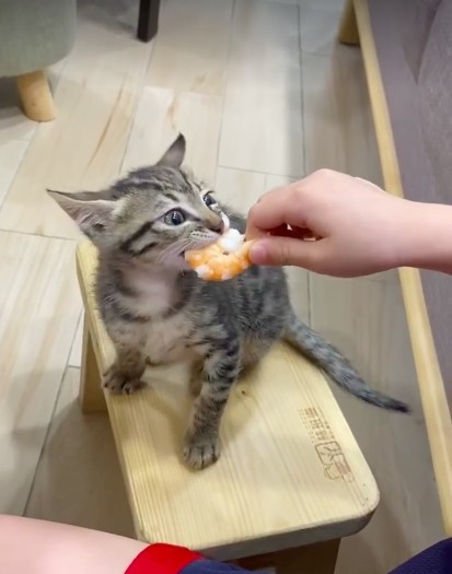 網友Inin Huang提供