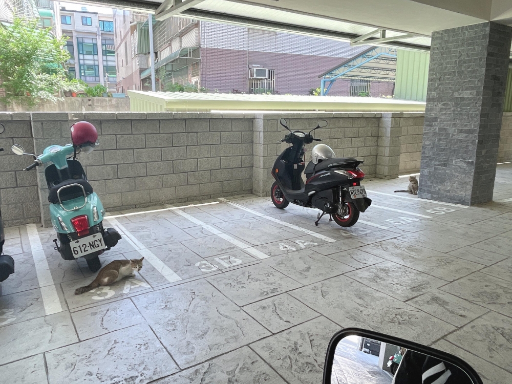 網友胡小婷小姐提供