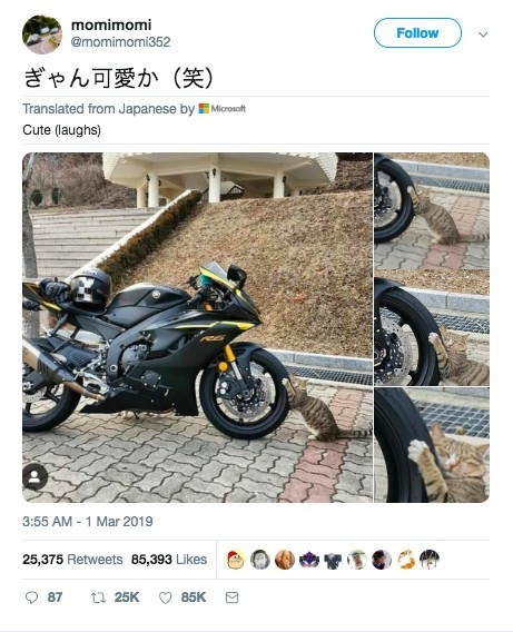  twitter @momimomi352