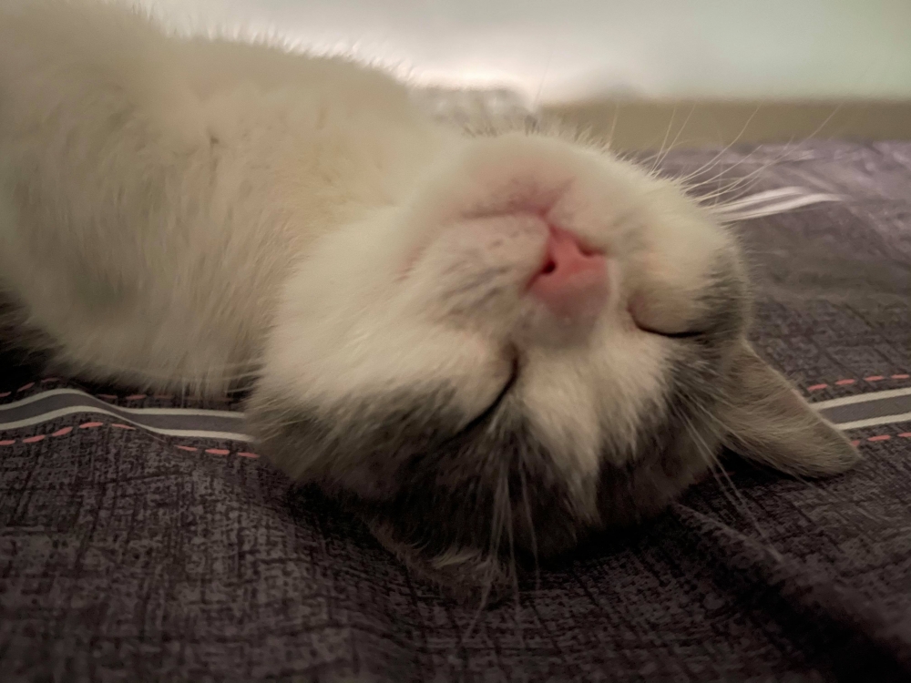 網友王震宇先生提供