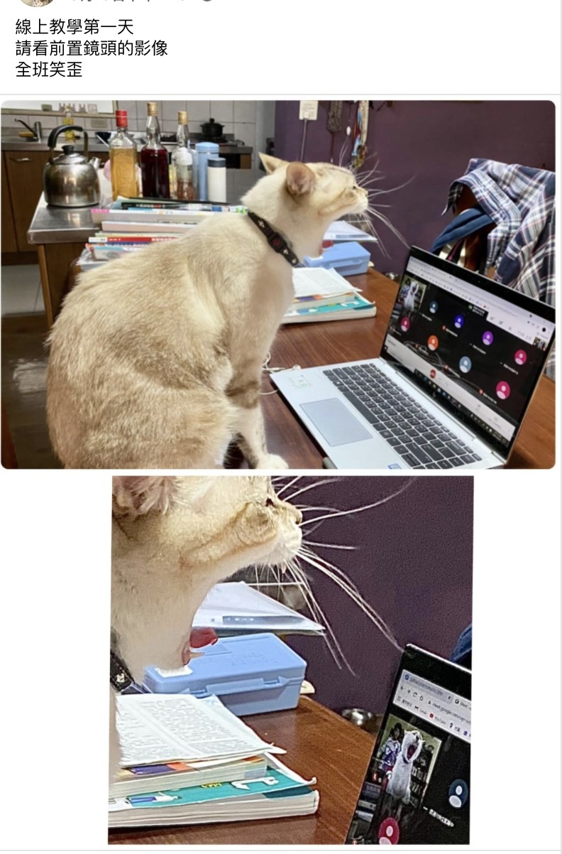 網友李曉芳小姐提供