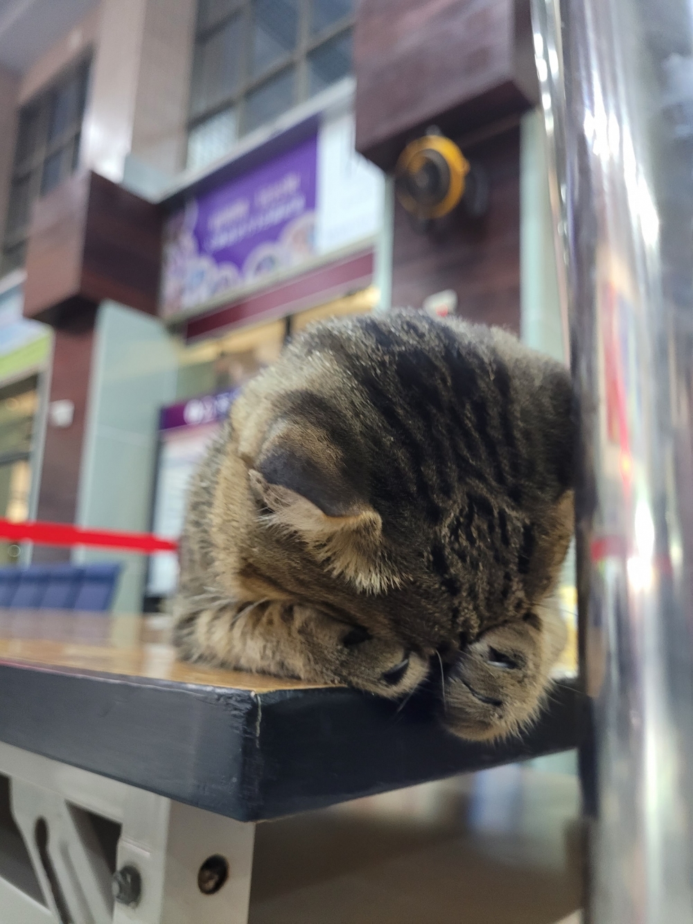 網友王筱梅小姐提供