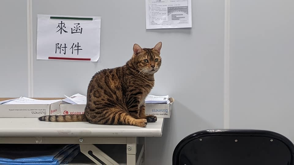 網友薛豹樂先生提供