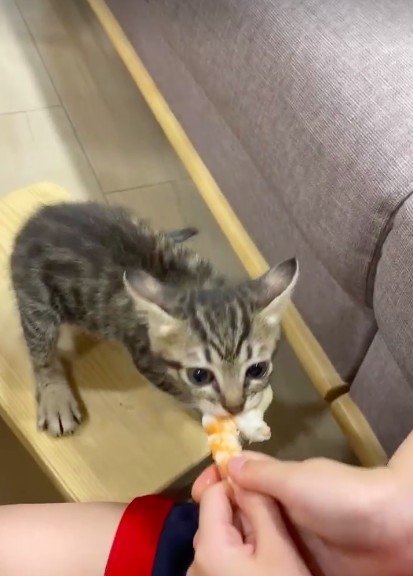 網友Inin Huang提供