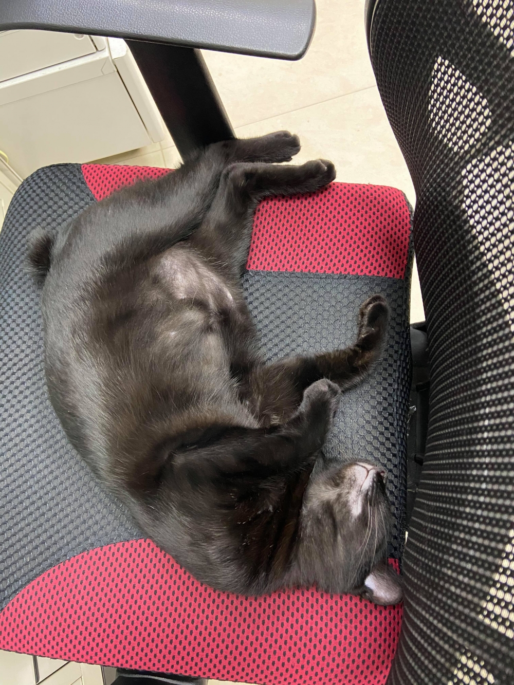 網友孫淳紜小姐提供